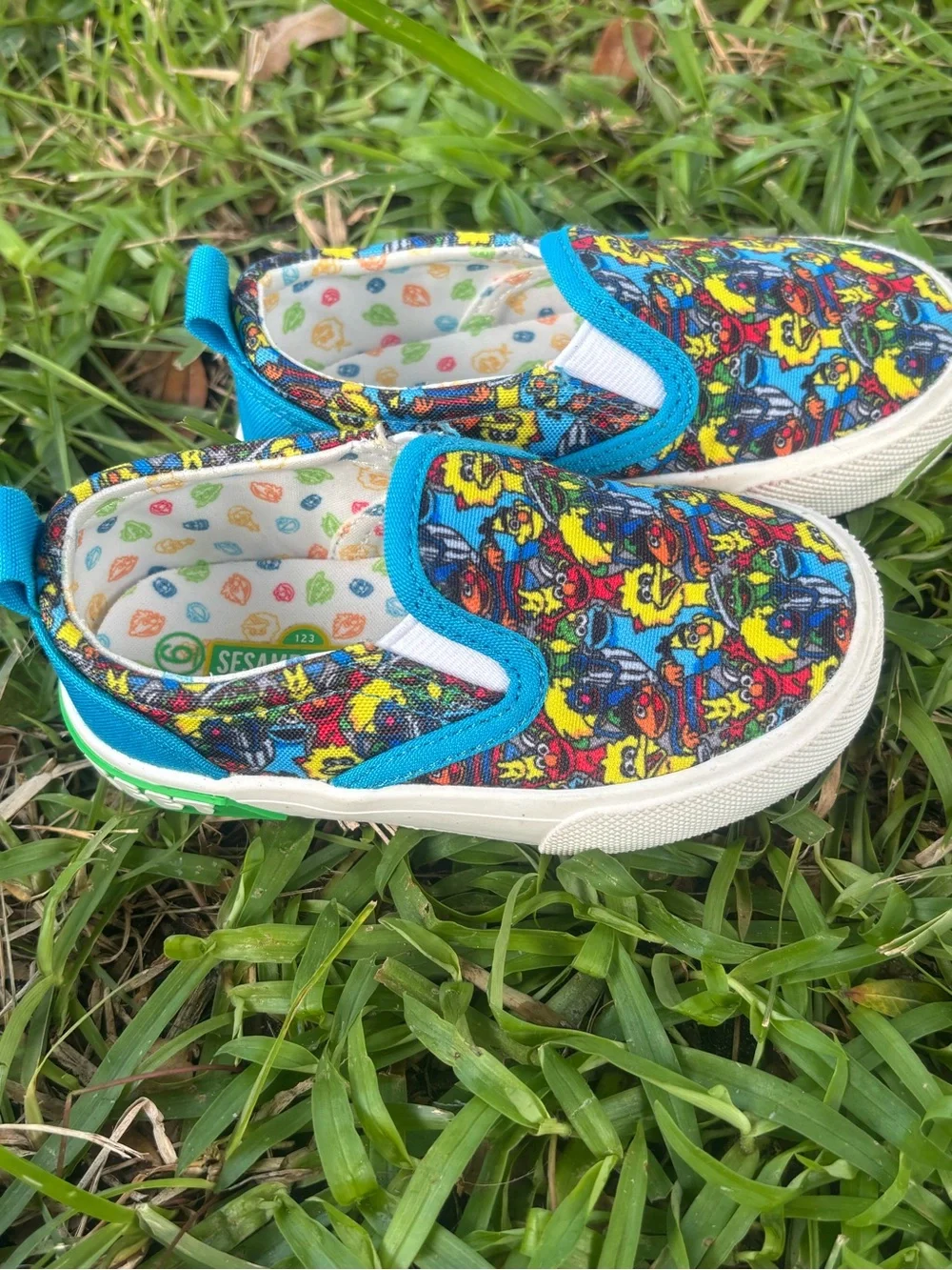 Kids Slip-On Canvas Shoes with Colorful Character Print - Blue Trim Sesame  6